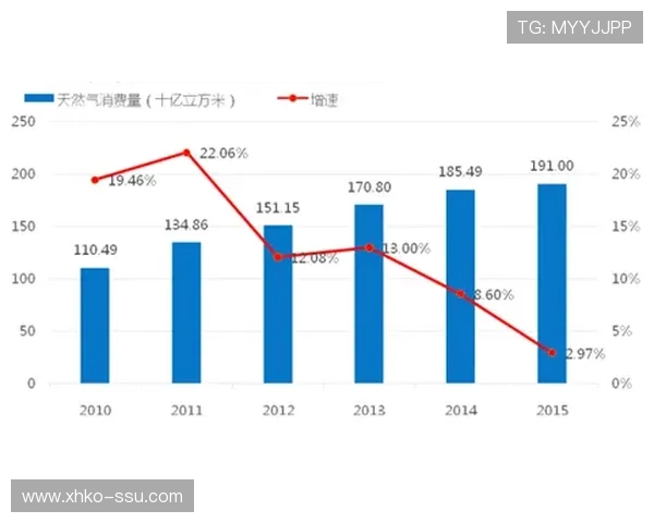 数据分析：液化天然气在市场竞争中的战术表现与策略优化探讨