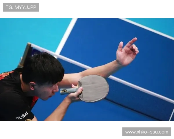 从零起步掌握乒乓球战术技巧全面指南助你成为乒乓高手